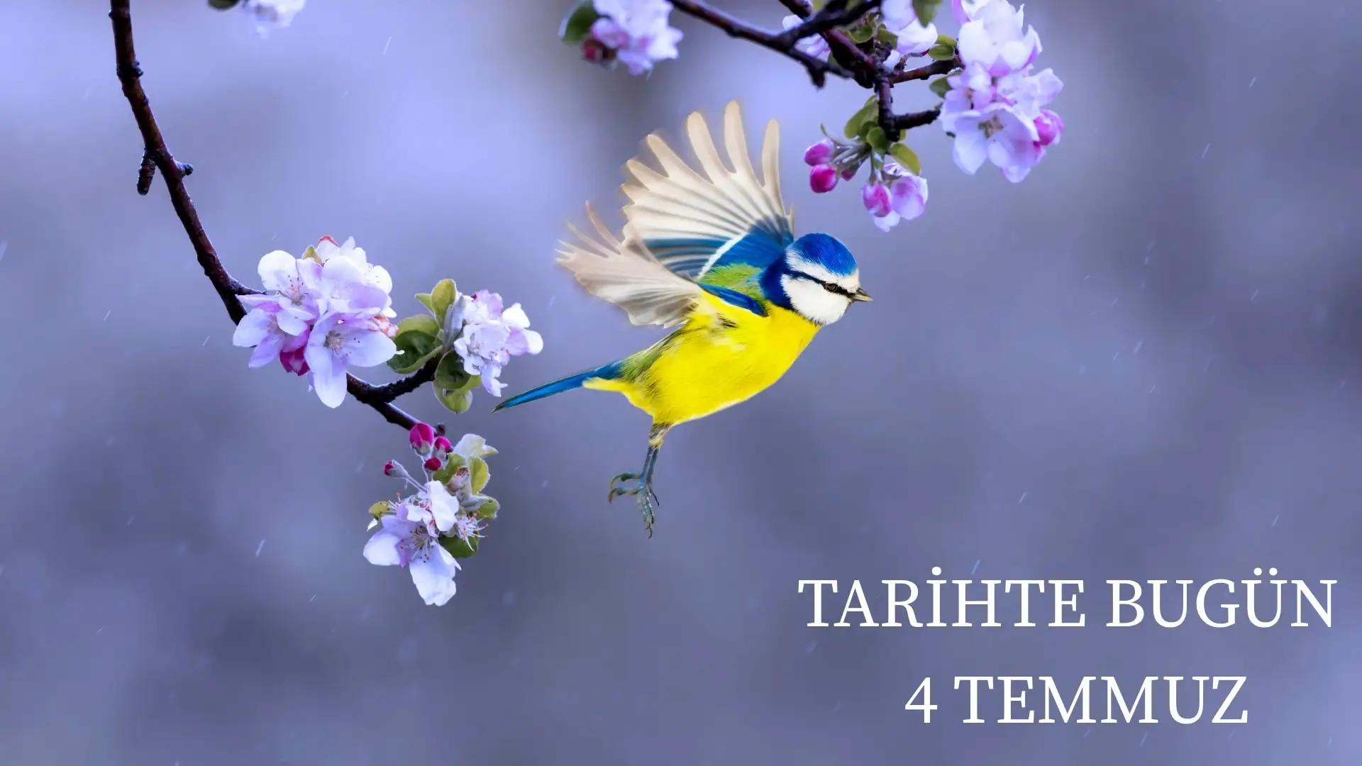 TARİHTE BUGÜN KÖŞESİ 4 TEMMUZDA TARİHTE NELER OLDU