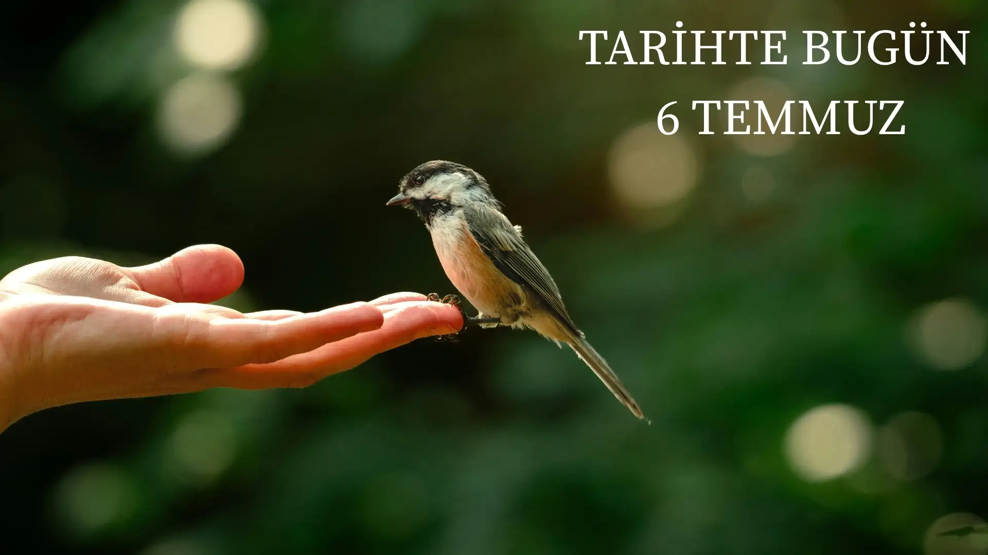 TARİHTE BUGÜN KÖŞESİ 6 TEMMUZDA TARİHTE NELER OLDU