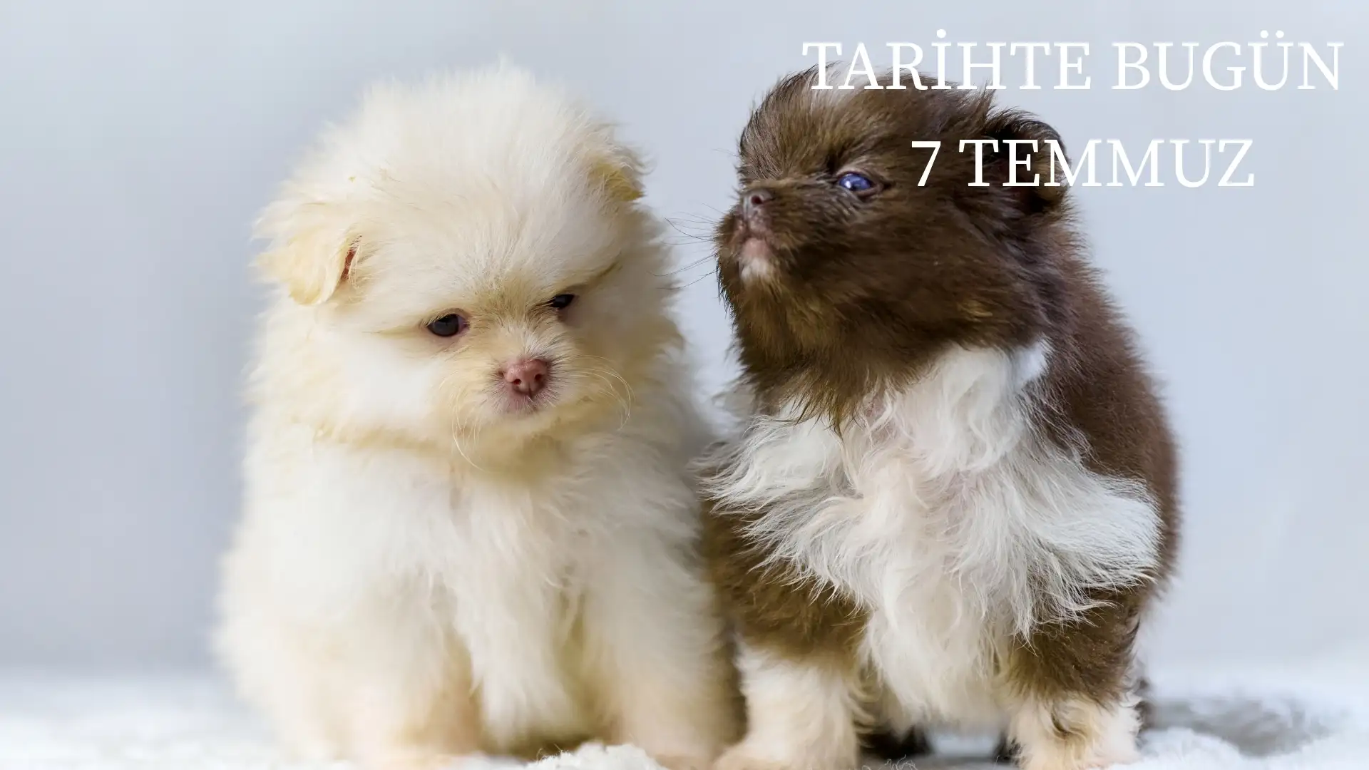 TARİHTE BUGÜN KÖŞESİ 7 TEMMUZDA TARİHTE NELER OLDU?