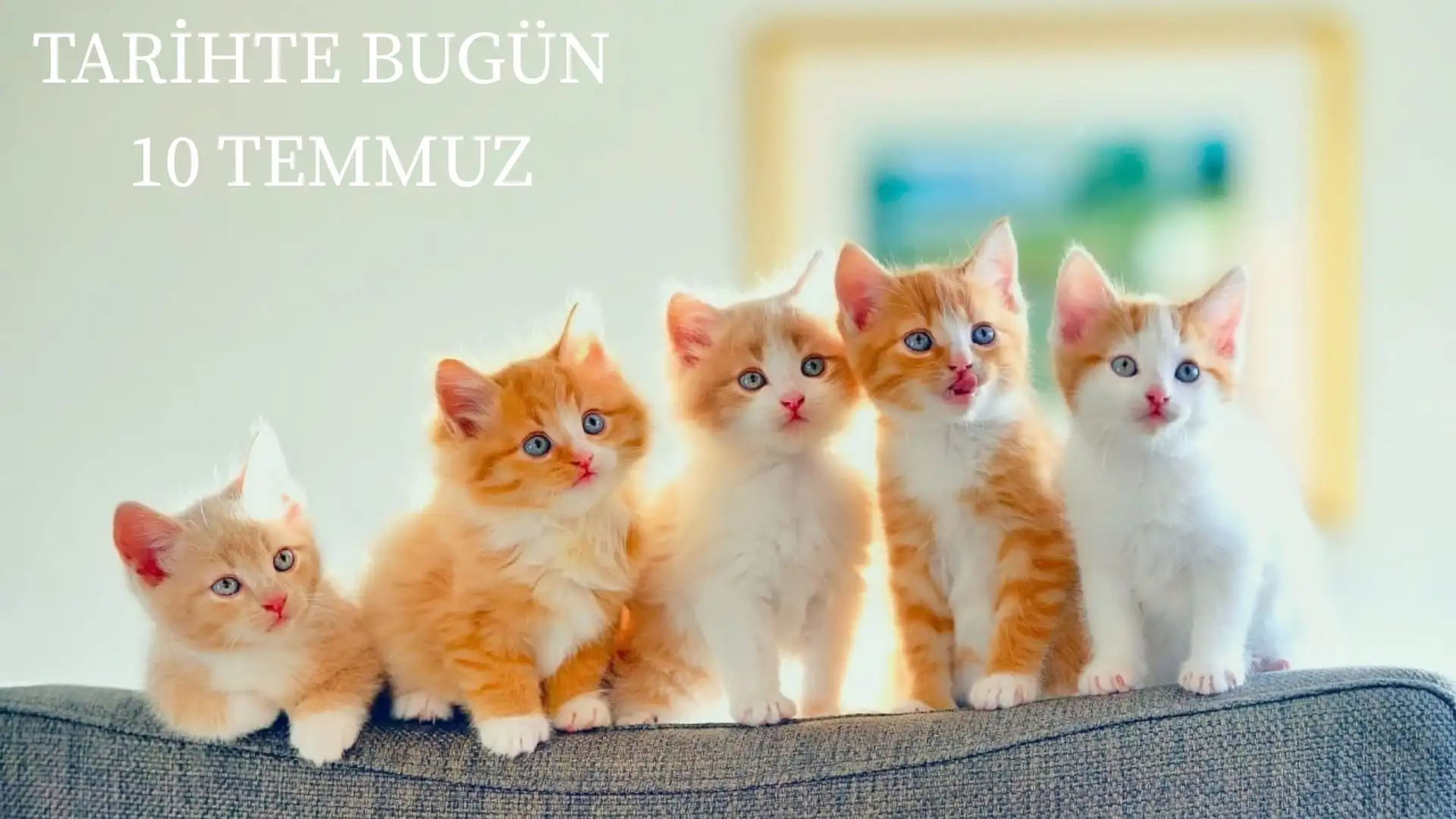 TARİHTE BUGÜN KÖŞESİ 10 TEMMUZDA TARİHTE NELER OLDU?