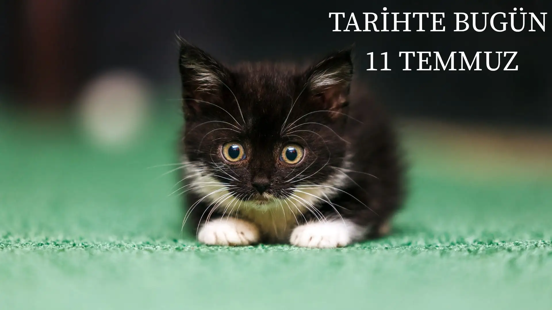 TARİHTE BUGÜN KÖŞESİ 11 TEMMUZDA TARİHTE NELER OLDU?