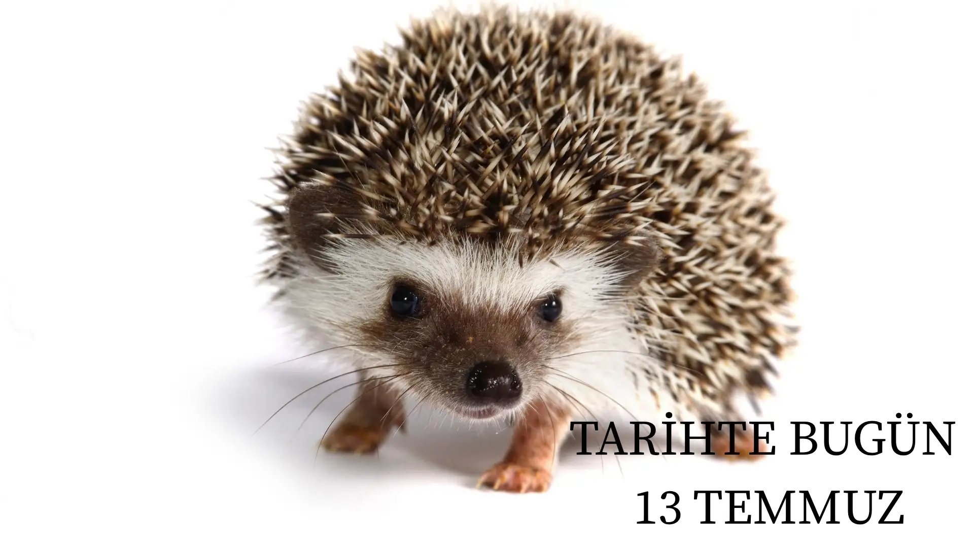 TARİHTE BUGÜN KÖŞESİ 13 TEMMUZDA TARİHTE NELER OLDU?