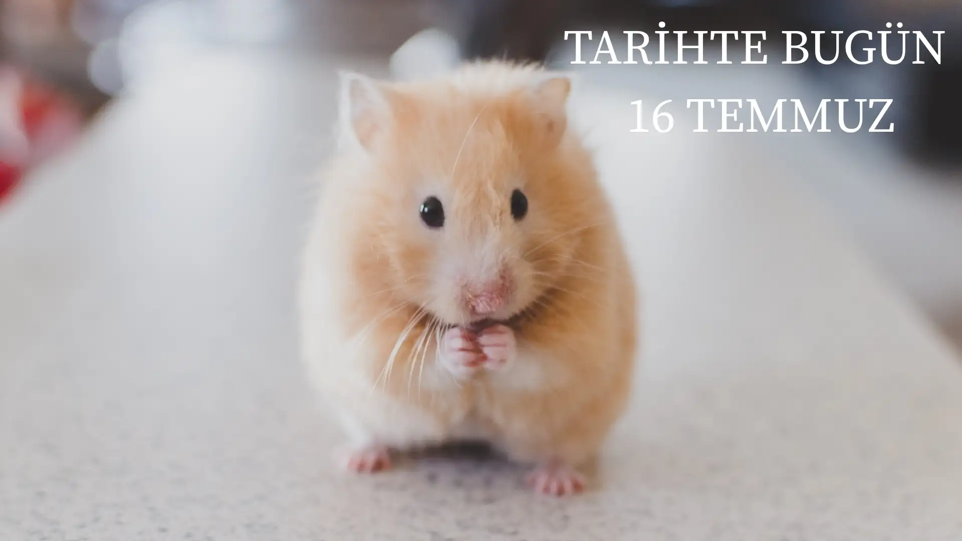 TARİHTE BUGÜN KÖŞESİ 16 TEMMUZDA TARİHTE NELER OLDU?