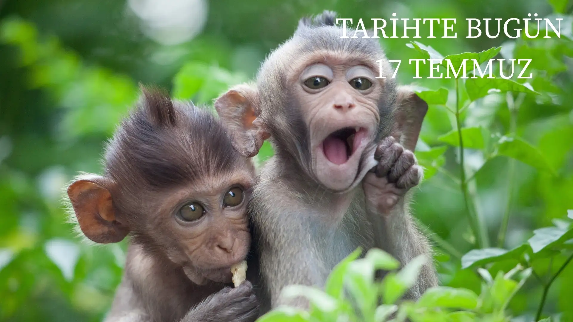 TARİHTE BUGÜN KÖŞESİ 17 TEMMUZDA TARİHTE NELER OLDU?