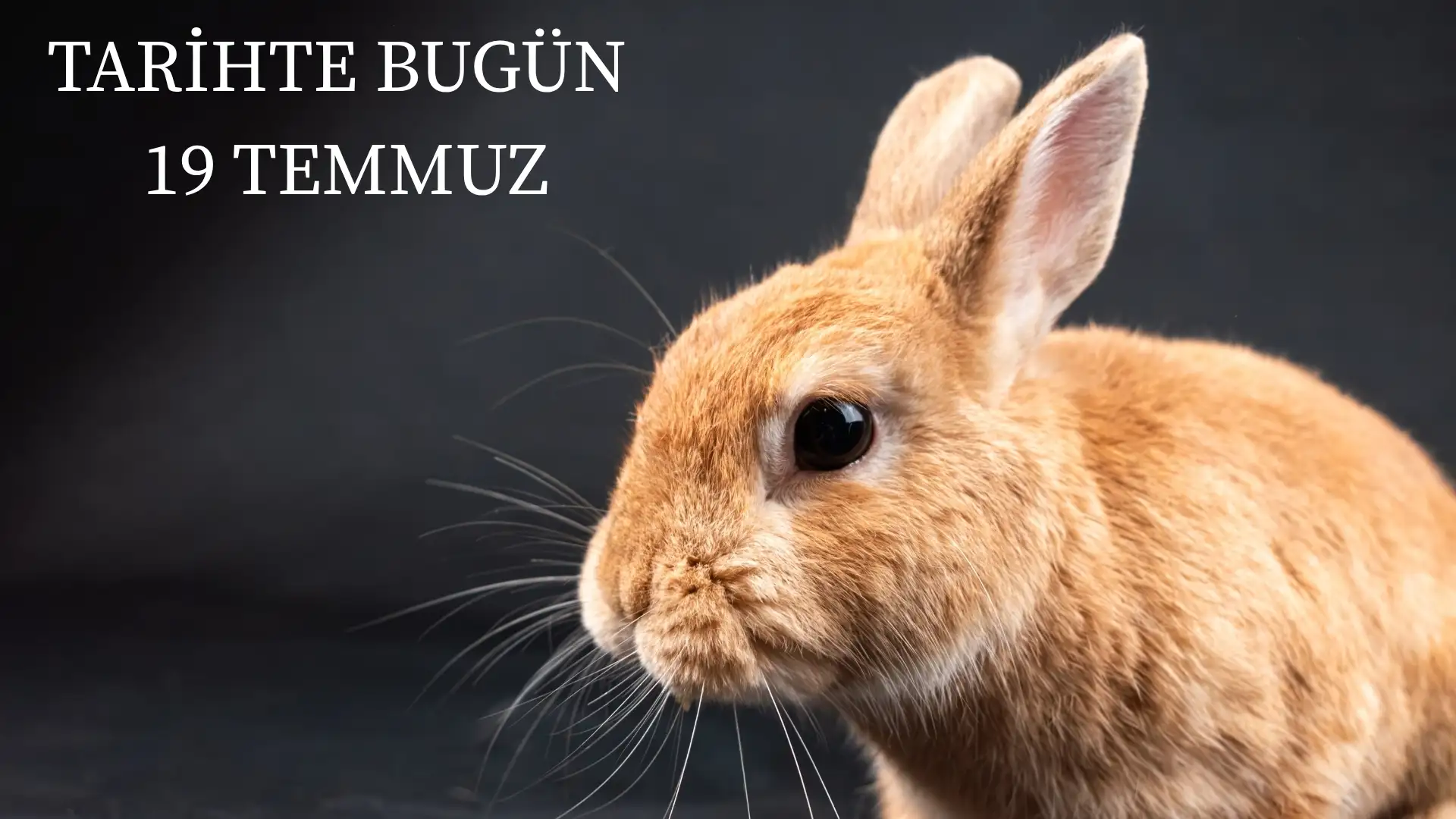 TARİHTE BUGÜN KÖŞESİ 19 TEMMUZDA TARİHTE NELER OLDU?