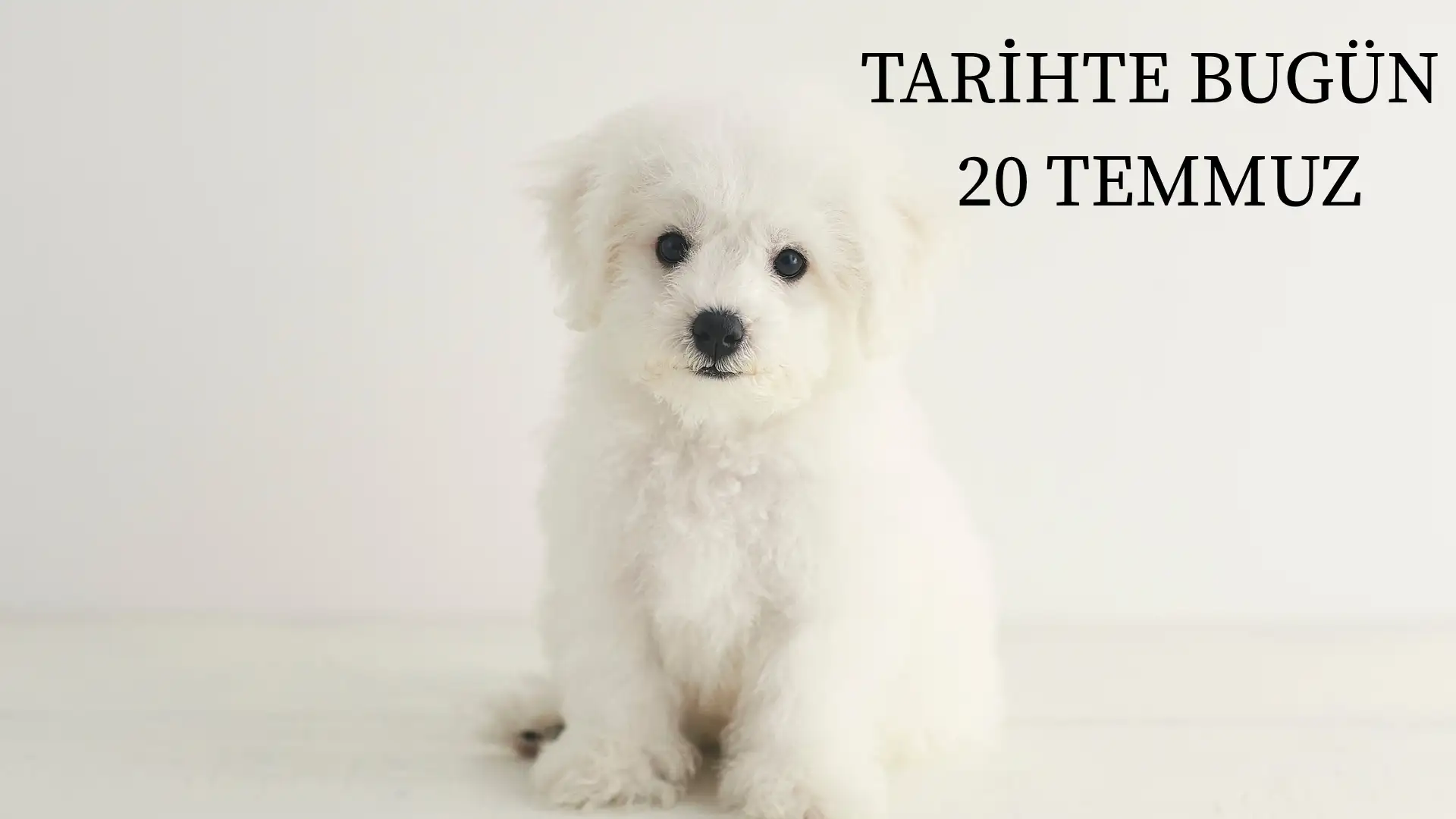 TARİHTE BUGÜN KÖŞESİ 20 TEMMUZDA TARİHTE NELER OLDU?