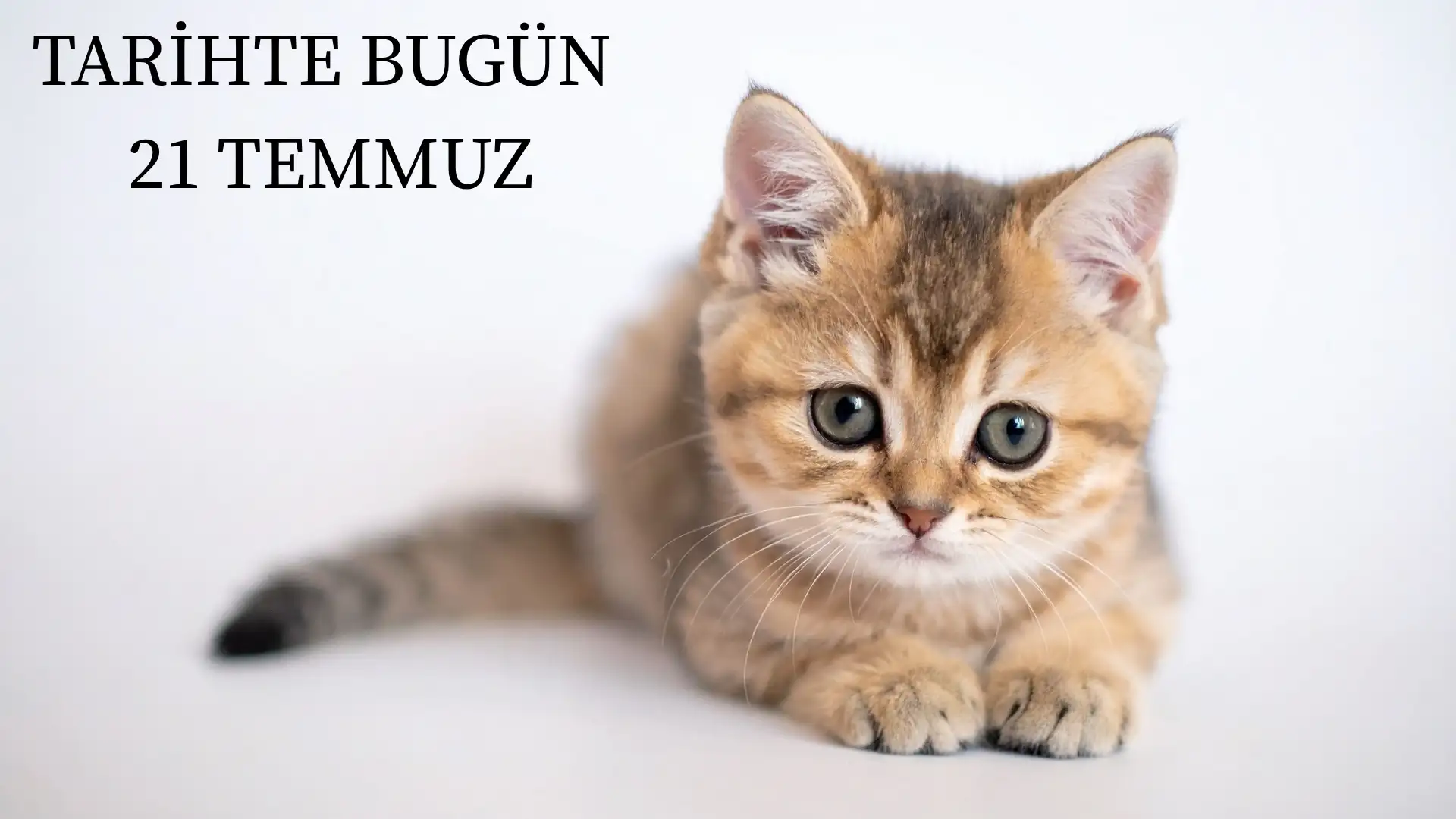 TARİHTE BUGÜN KÖŞESİ 21 TEMMUZDA TARİHTE NELER OLDU?
