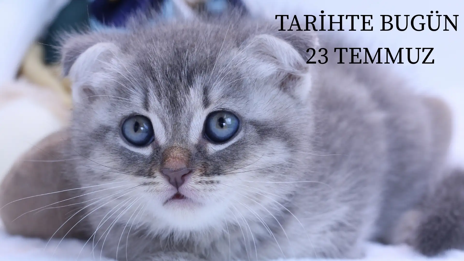 TARİHTE BUGÜN KÖŞESİ 23 TEMMUZDA TARİHTE NELER OLDU?