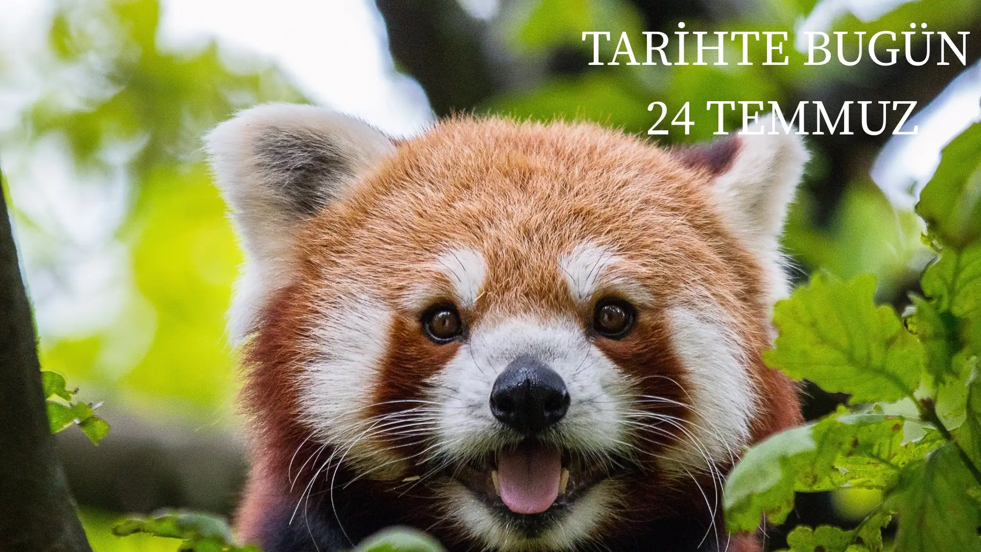 TARİHTE BUGÜN KÖŞESİ 24 TEMMUZDA TARİHTE NELER OLDU?