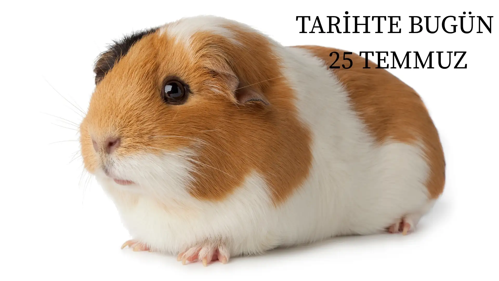 TARİHTE BUGÜN KÖŞESİ 25 TEMMUZDA TARİHTE NELER OLDU?