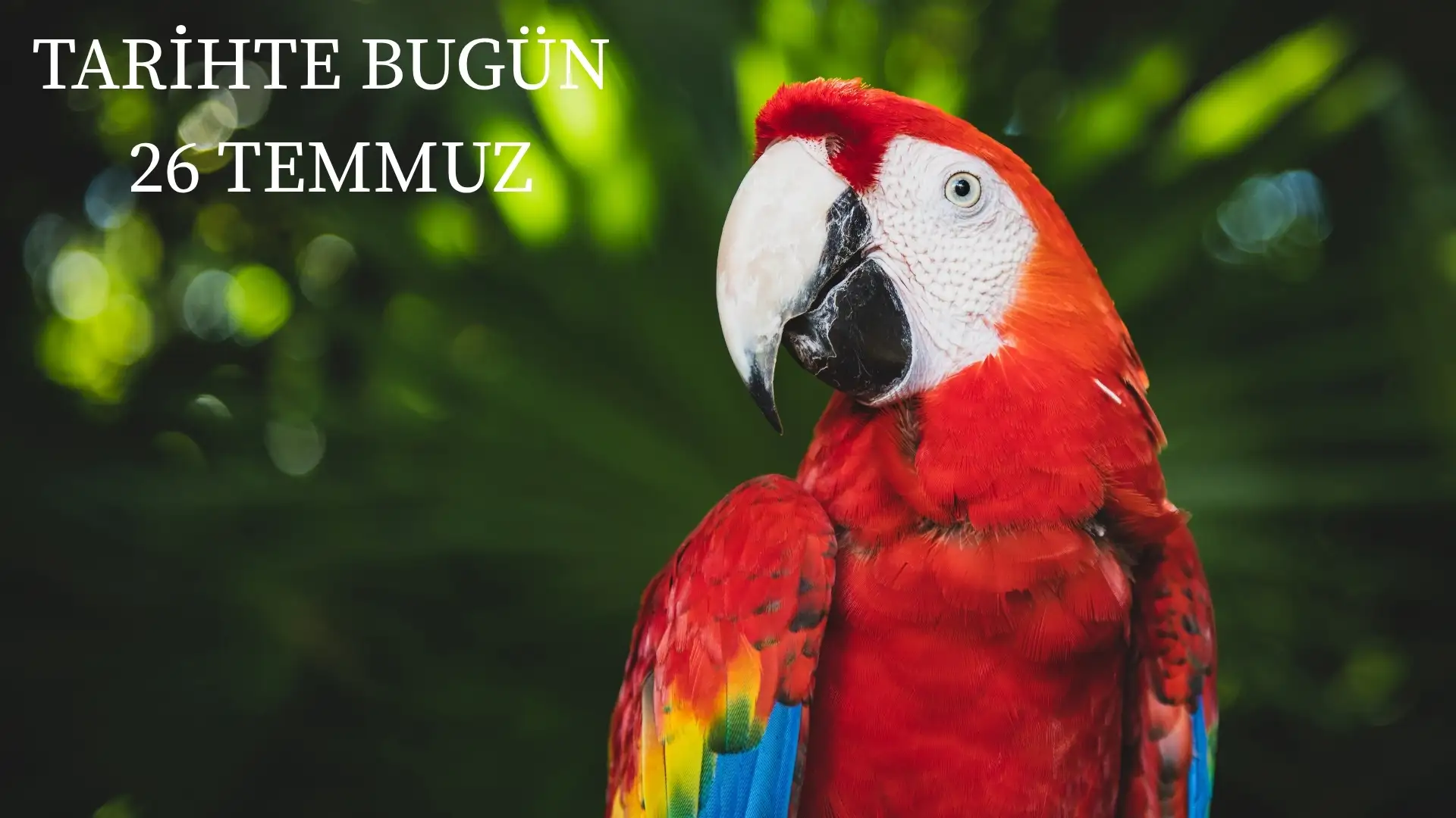 TARİHTE BUGÜN KÖŞESİ 26 TEMMUZDA TARİHTE NELER OLDU?