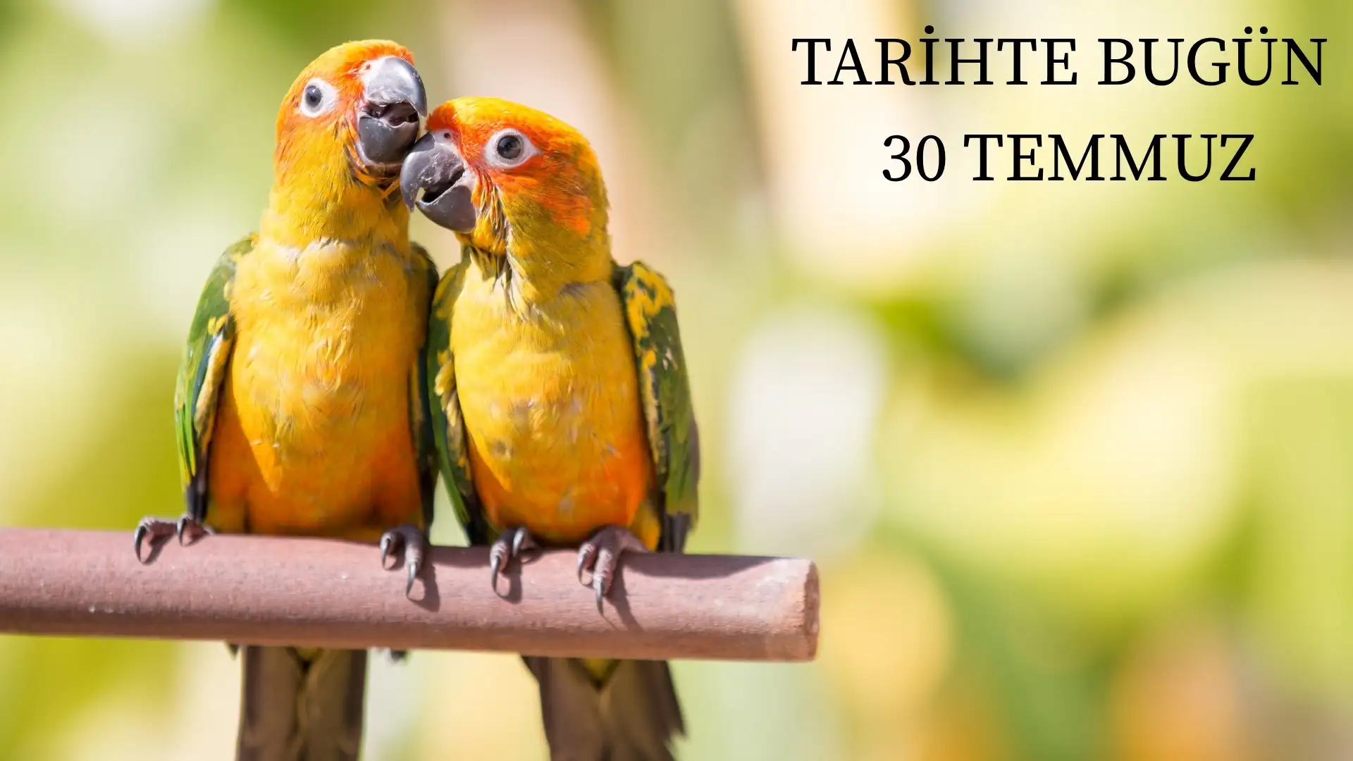 TARİHTE BUGÜN KÖŞESİ 30 TEMMUZDA TARİHTE NELER OLDU?