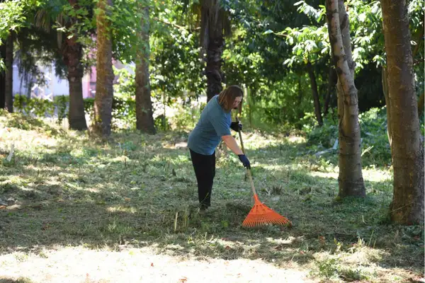 Giresun'da park ve bahçelerde bakım çalışmaları sürüyor
