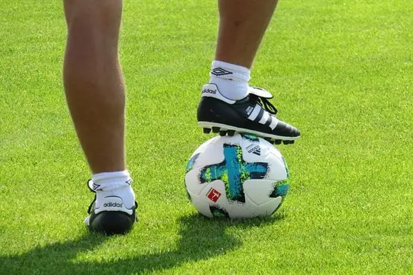TFF'den Fenerbahçe'ye tebrik mesajı