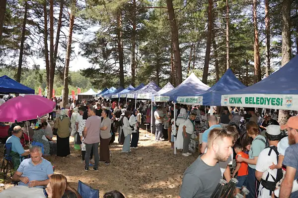 İznik’te 5. Maviyemiş Festivali düzenlendi