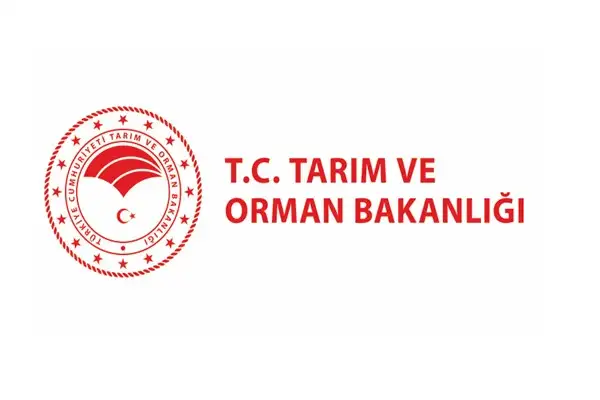 Orman yangınlarına havadan müdahale sürüyor