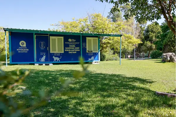 Antalya Büyükşehir Belediyesinin mobil kedi kısırlaştırma hizmeti AKM Parkı'nda devam etti
