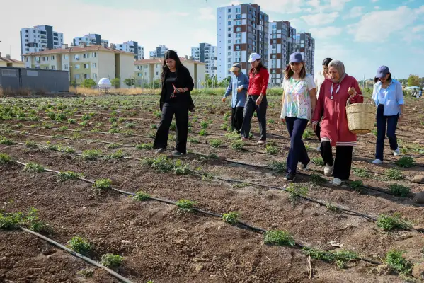 Eşbaşkan Bucak, üretici kadınlarla buluştu