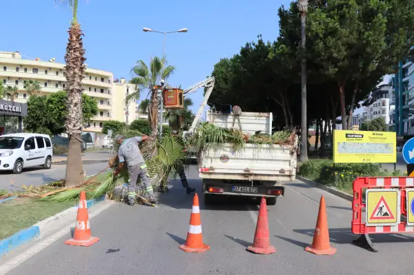 Alanya’da park ve yeşil alanlarda bakım çalışmaları sürüyor