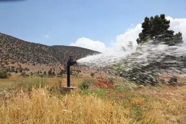 Enerji desteği Antalya tarımını güçlendiriyor