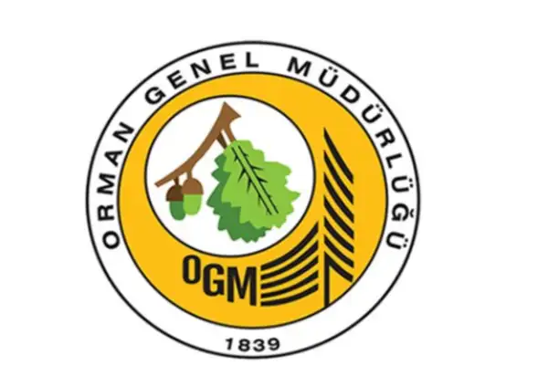 Orman Genel Müdürlüğü: Üç yangın kontrol altında