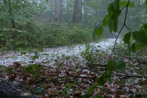 Meteoroloji’den kuvvetli yağış ve rüzgar uyarısı
