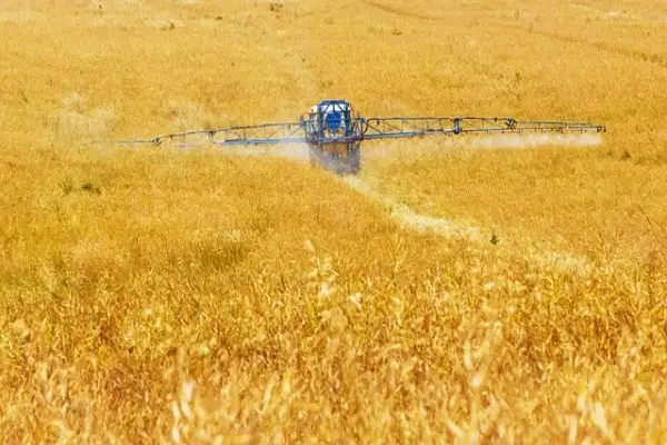 TÜRİB Buğday Ekmeklik Endeksi haftayı yüzde 4,75 artışla tamamladı