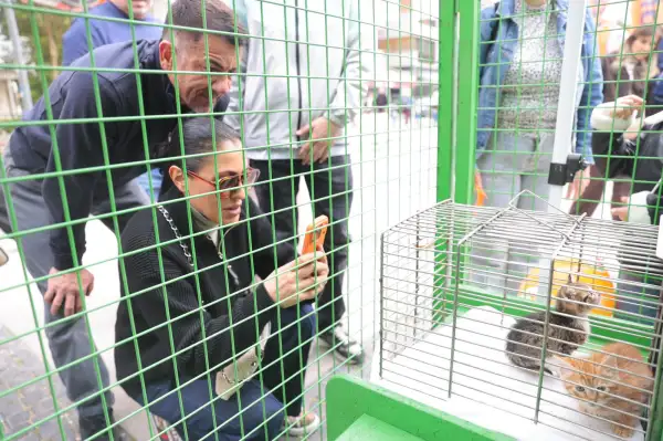 Patilerin Festivali 7’nci kez İzmirlilerle buluşuyor