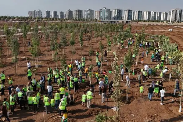Diyarbakır’da binlerce fidan toprakla buluştu