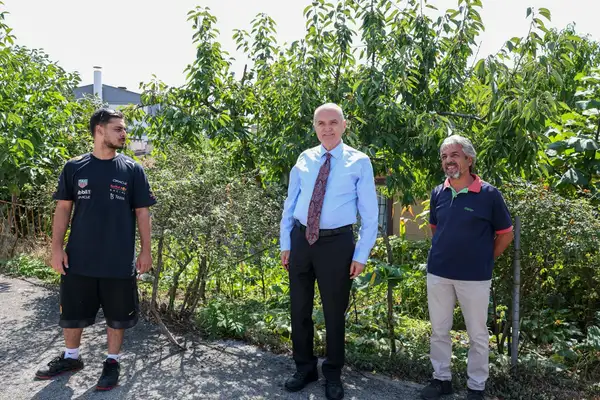 Apollon heykeli Düzce’de grafiti sanatıyla duvara yansıtılıyor