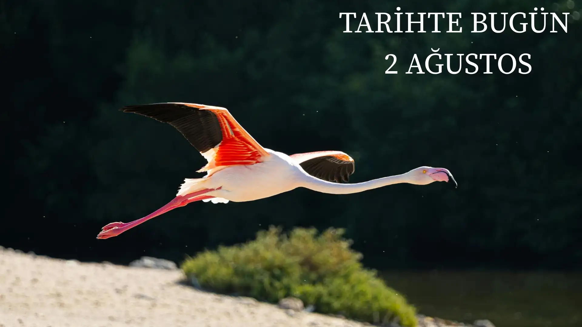 TARİHTE BUGÜN KÖŞESİ 2 AĞUSTOSTA TARİHTE NELER OLDU?