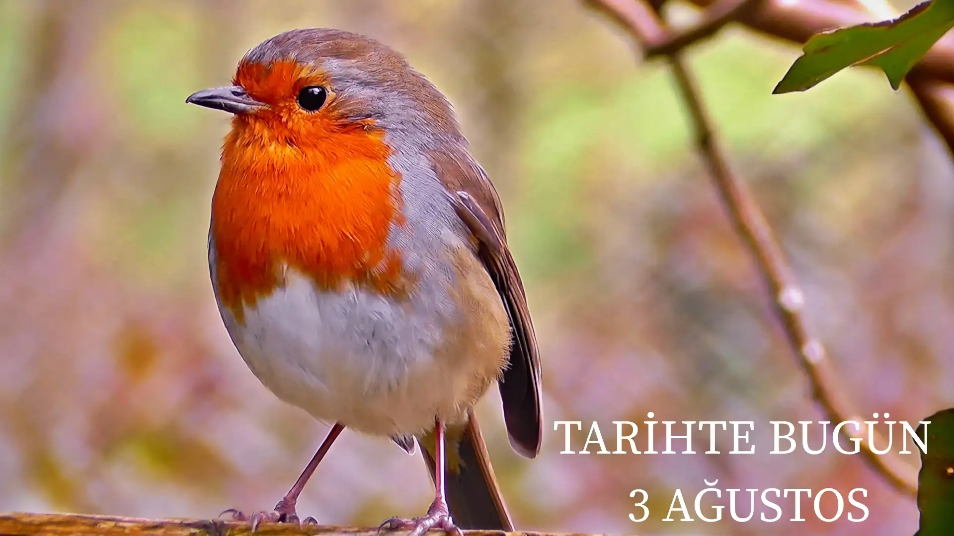 TARİHTE BUGÜN KÖŞESİ 3 AĞUSTOSTA TARİHTE NELER OLDU?