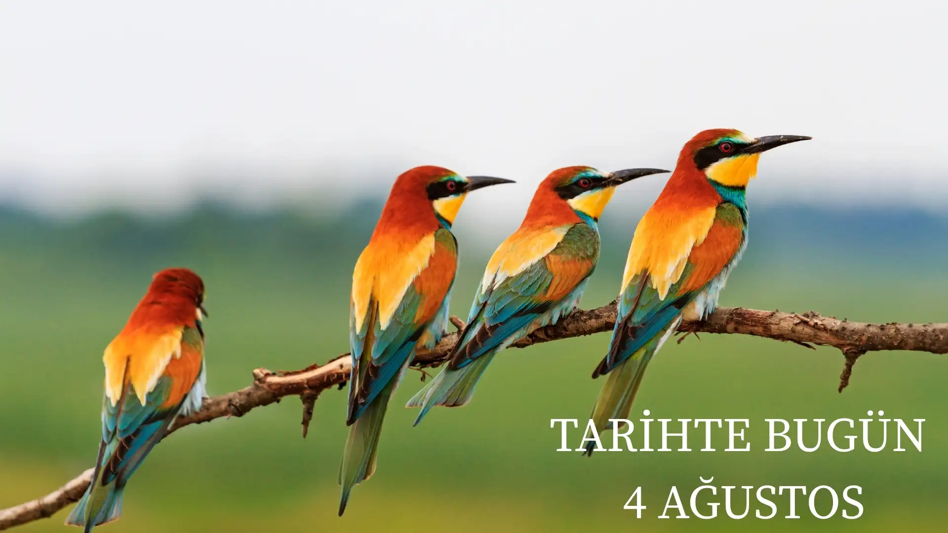 TARİHTE BUGÜN KÖŞESİ 4 AĞUSTOSTA TARİHTE NELER OLDU?