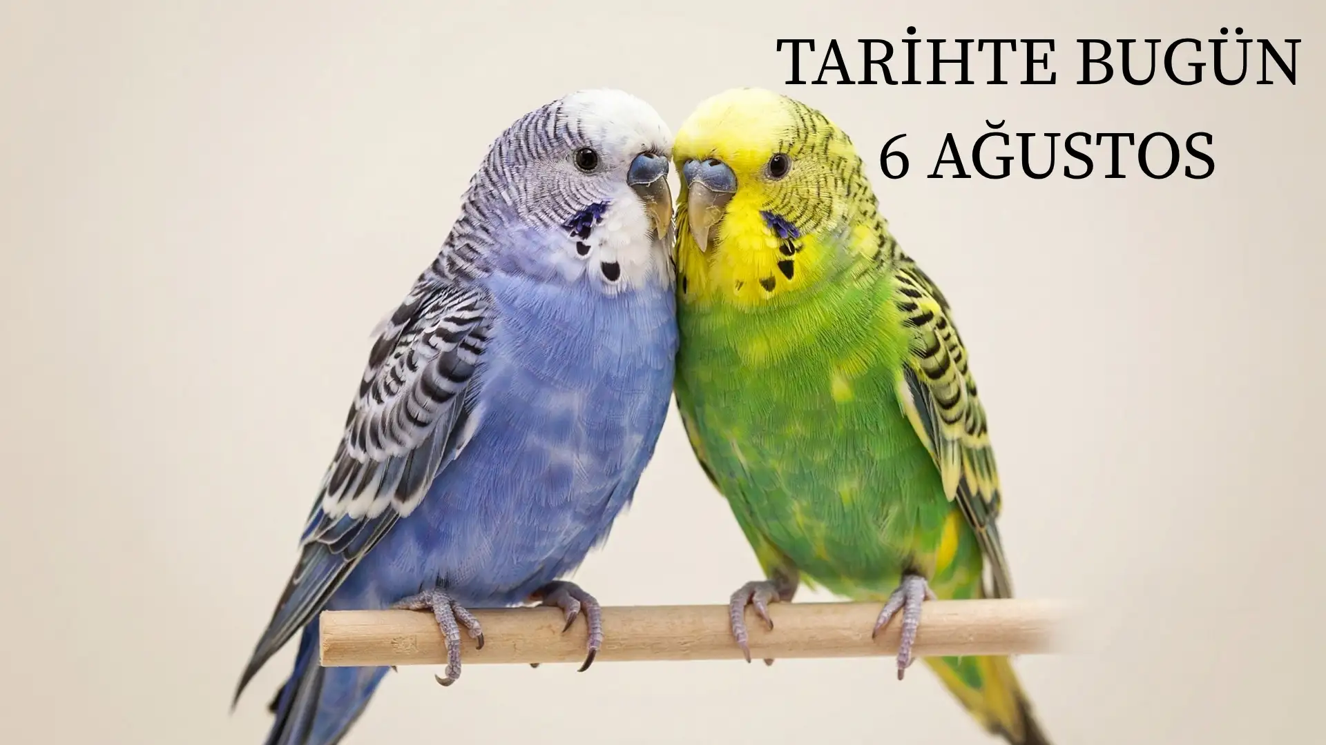 TARİHTE BUGÜN KÖŞESİ 6 AĞUSTOSTA TARİHTE NELER OLDU?  