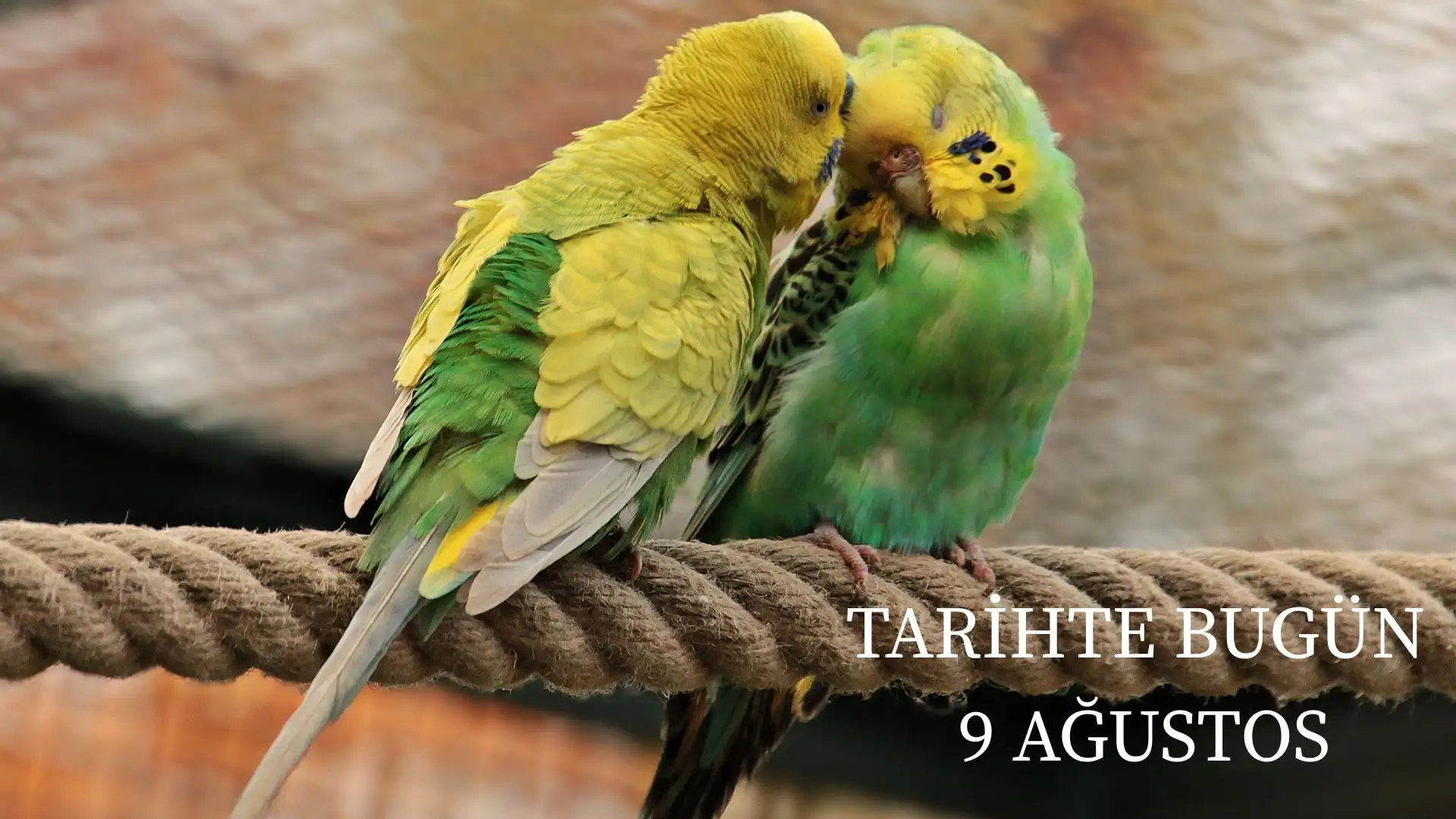 TARİHTE BUGÜN KÖŞESİ 9 AĞUSTOSTA TARİHTE NELER OLDU?   