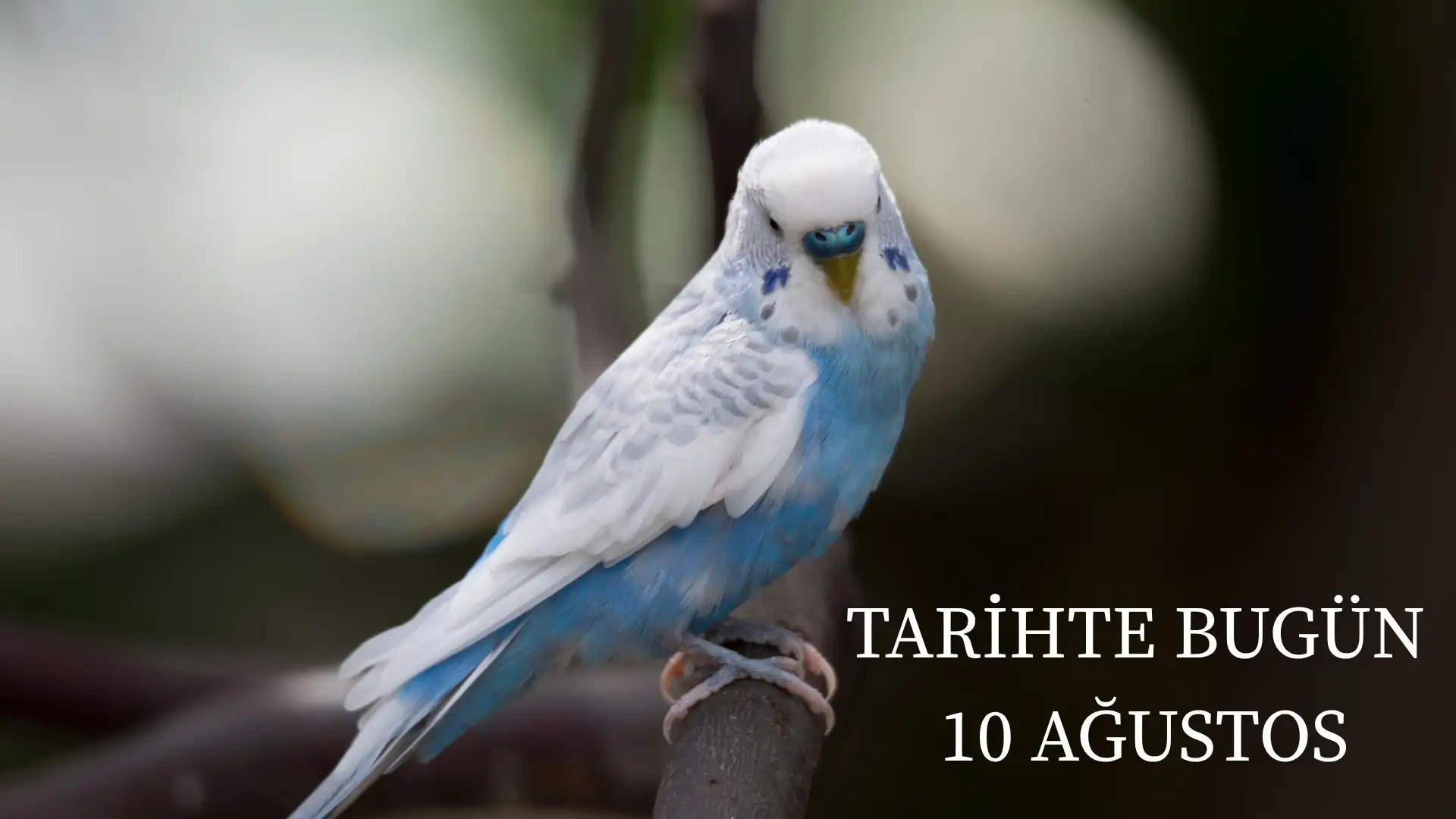 TARİHTE BUGÜN KÖŞESİ 10 AĞUSTOSTA TARİHTE NELER OLDU?  
