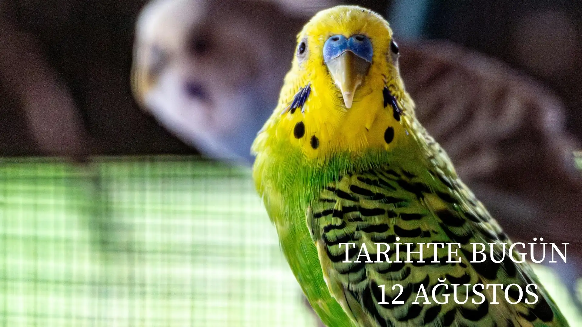 TARİHTE BUGÜN KÖŞESİ 12 AĞUSTOSTA TARİHTE NELER OLDU?  