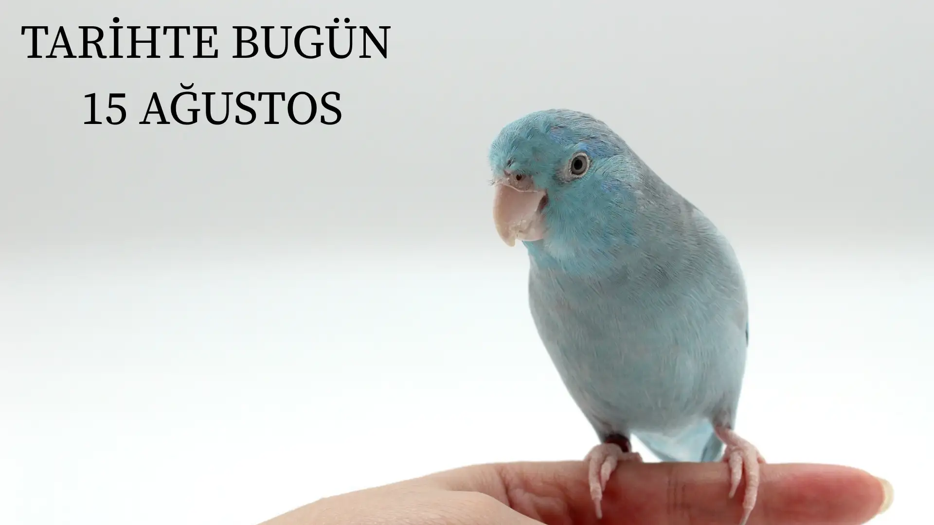TARİHTE BUGÜN KÖŞESİ 15 AĞUSTOSTA TARİHTE NELER OLDU?  
