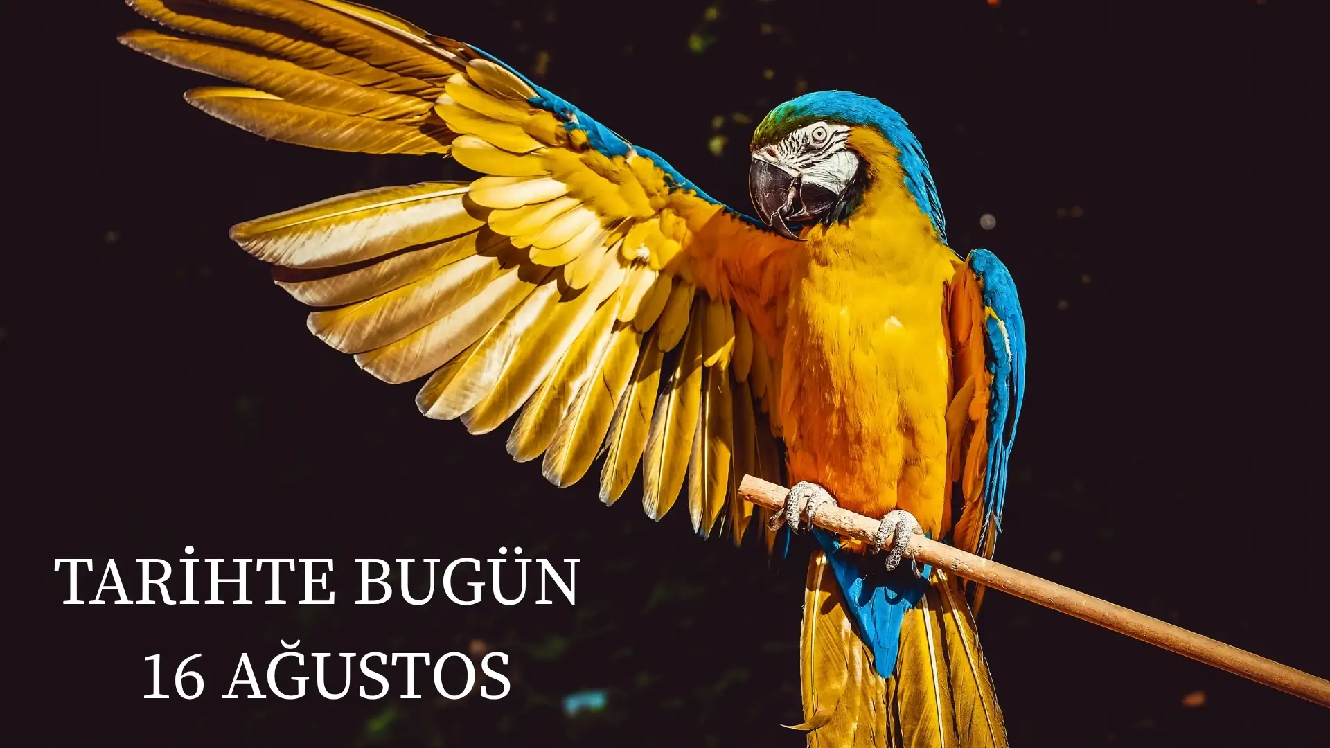 TARİHTE BUGÜN KÖŞESİ 16 AĞUSTOSTA TARİHTE NELER OLDU?  