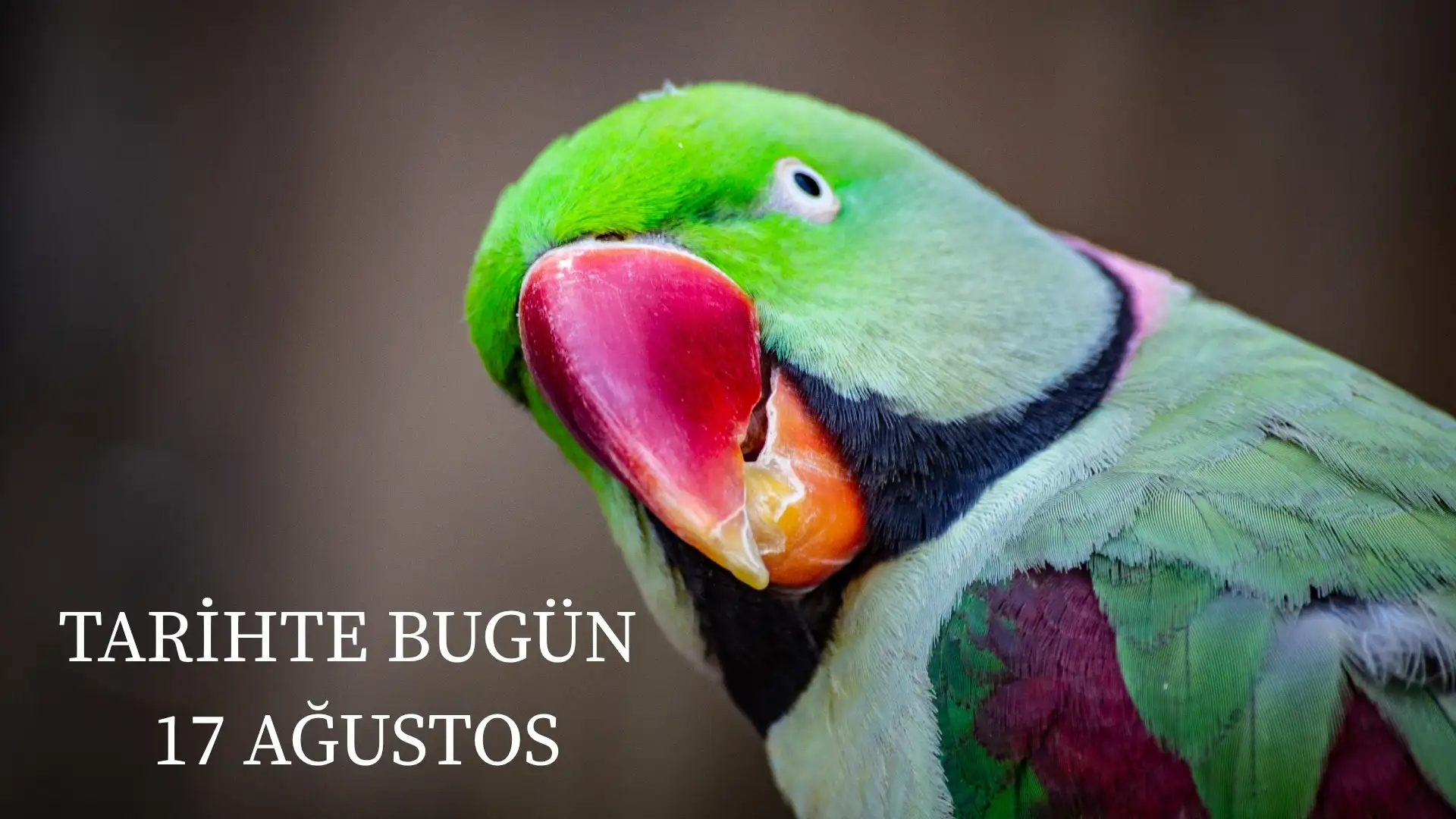 TARİHTE BUGÜN KÖŞESİ 17 AĞUSTOSTA TARİHTE NELER OLDU?  