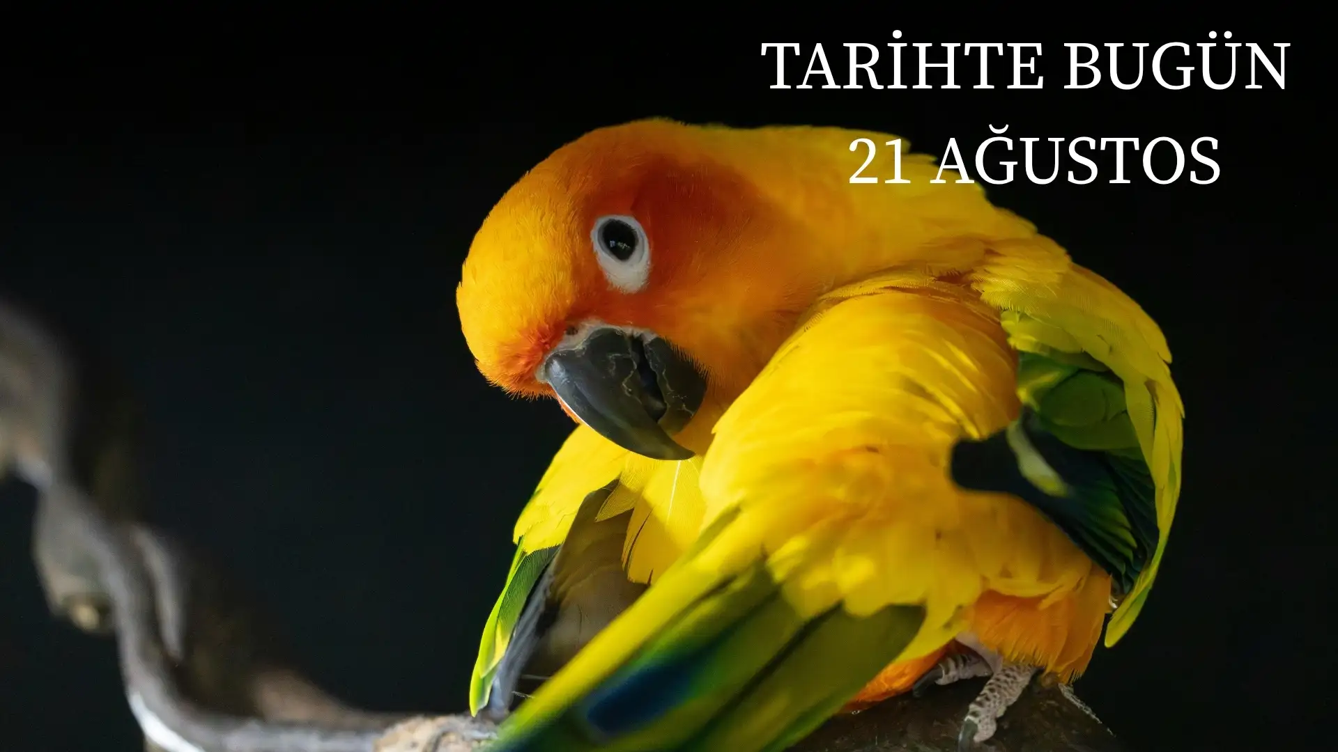 TARİHTE BUGÜN KÖŞESİ 21 AĞUSTOSTA TARİHTE NELER OLDU?  