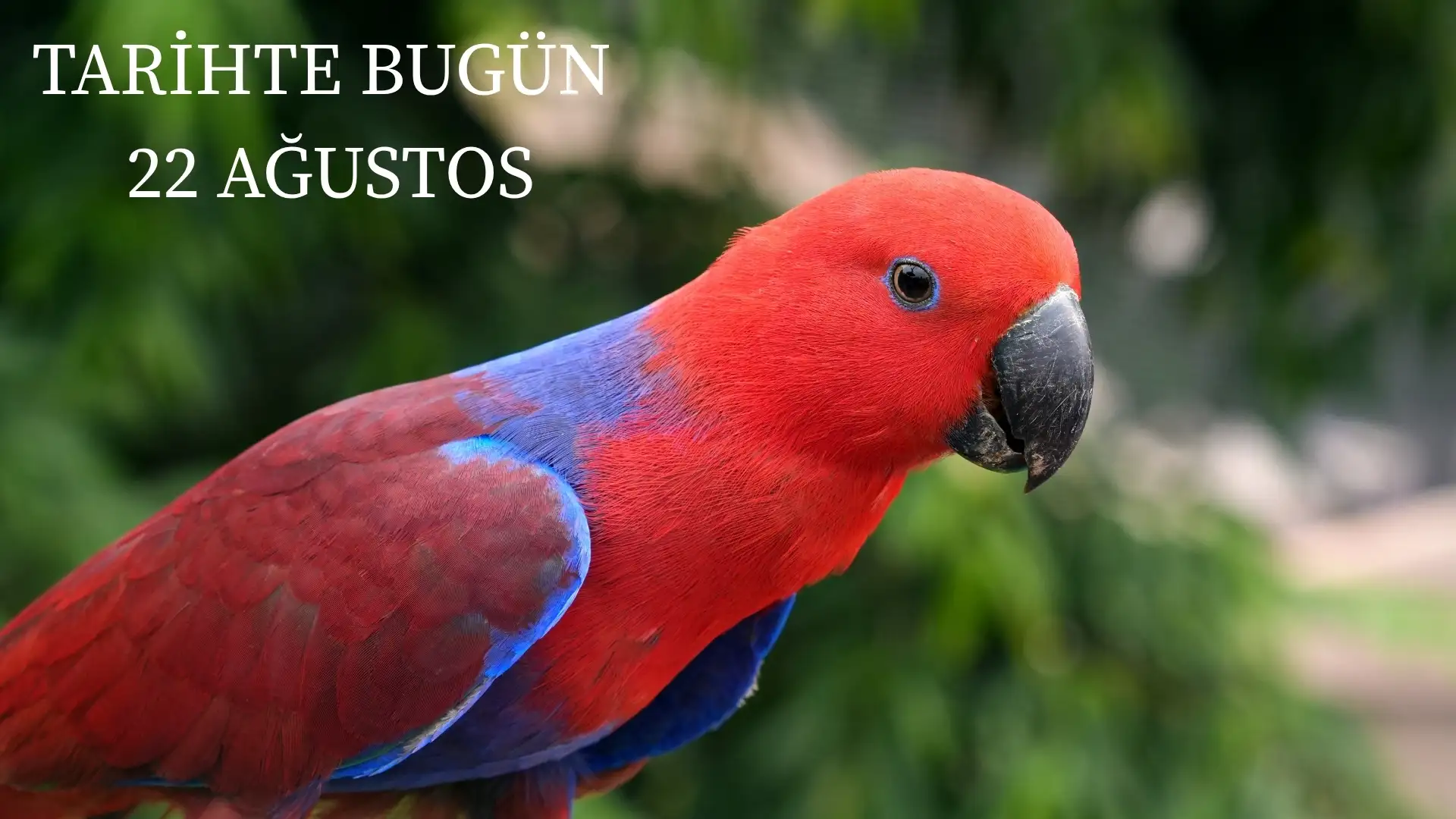 TARİHTE BUGÜN KÖŞESİ 22 AĞUSTOSTA TARİHTE NELER OLDU?  