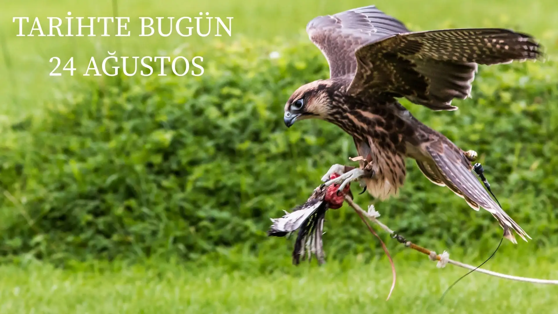 TARİHTE BUGÜN KÖŞESİ 24 AĞUSTOSTA TARİHTE NELER OLDU?  