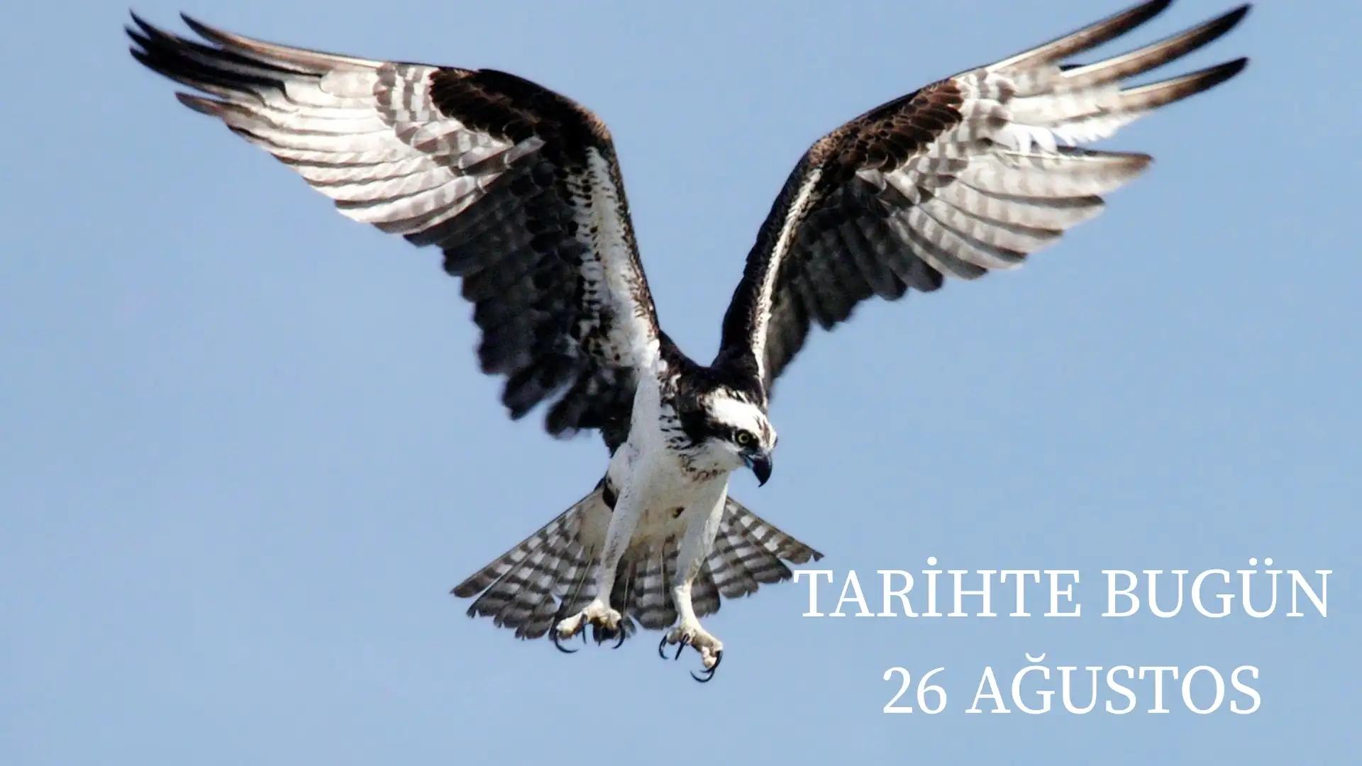 TARİHTE BUGÜN KÖŞESİ 26 AĞUSTOSTA TARİHTE NELER OLDU? 