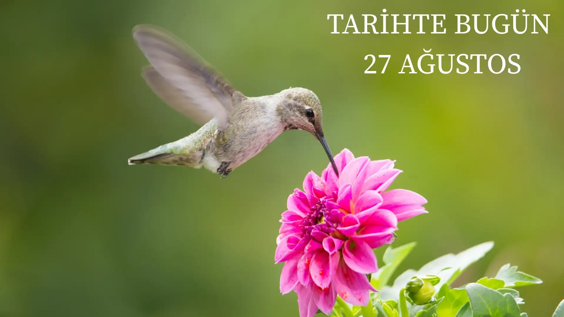 TARİHTE BUGÜN KÖŞESİ 27 AĞUSTOSTA TARİHTE NELER OLDU?  