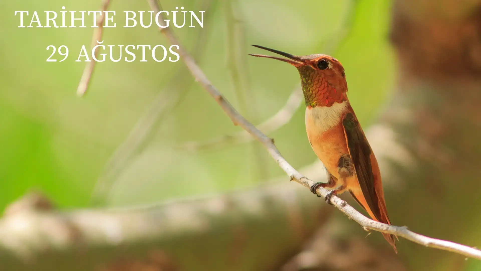 TARİHTE BUGÜN KÖŞESİ 29 AĞUSTOSTA TARİHTE NELER OLDU? 