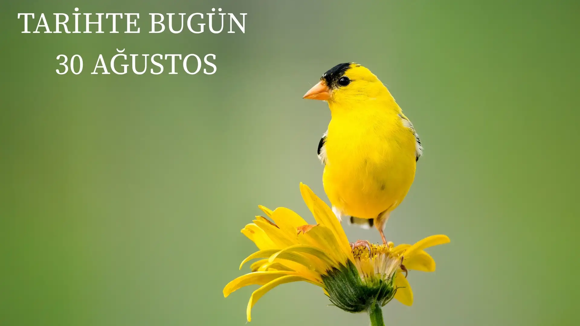 TARİHTE BUGÜN KÖŞESİ 30 AĞUSTOSTA TARİHTE NELER OLDU?  