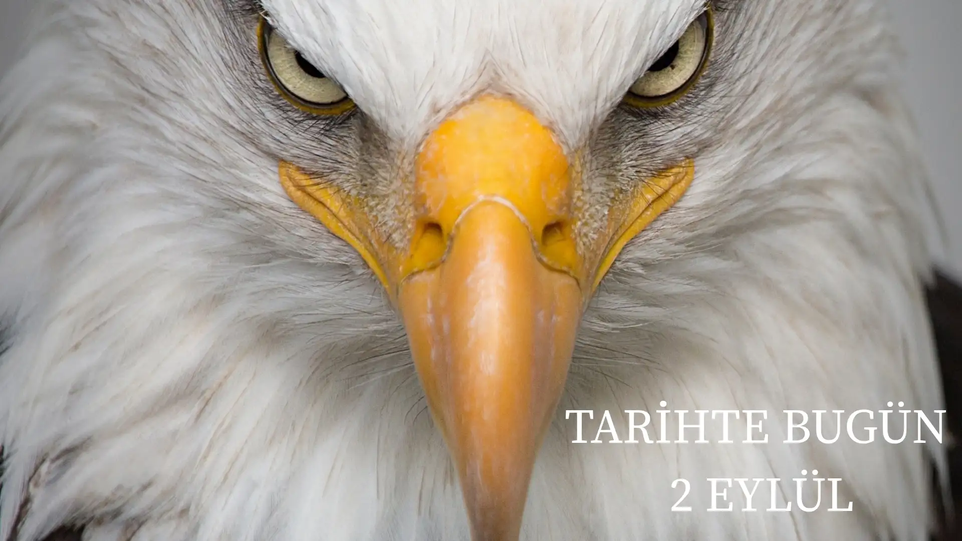 TARİHTE BUGÜN KÖŞESİ 2 EYLÜLDE TARİHTE NELER OLDU? 