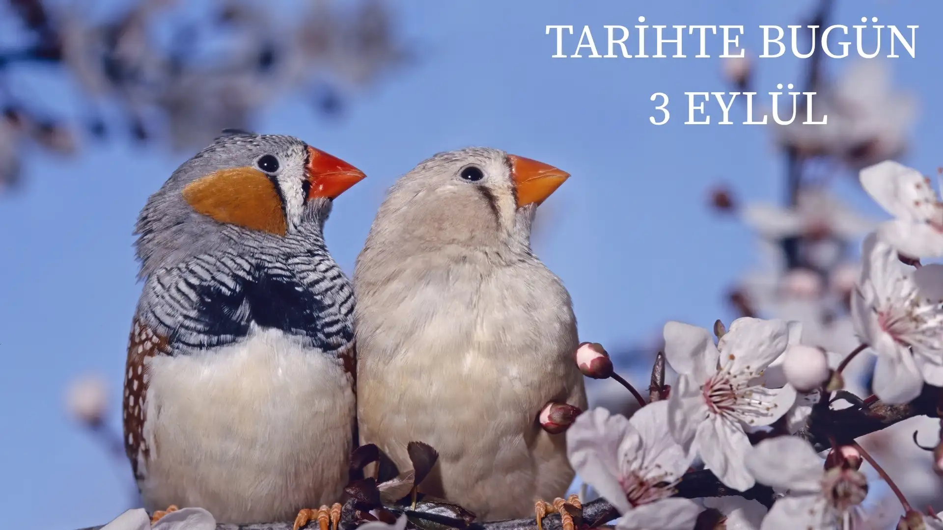 TARİHTE BUGÜN KÖŞESİ 3 EYLÜLDE TARİHTE NELER OLDU? 