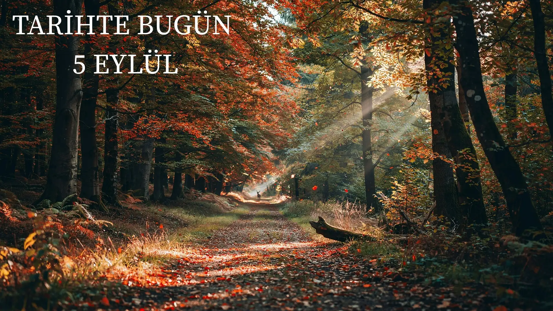 TARİHTE BUGÜN KÖŞESİ 5 EYLÜLDE TARİHTE NELER OLDU?  